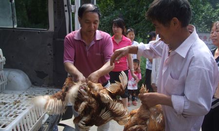 丹凤科技局组织开展的“十廉”教育活动