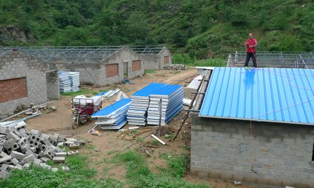 丹凤寺坪镇动员群众在赵塬村发展万头猪场