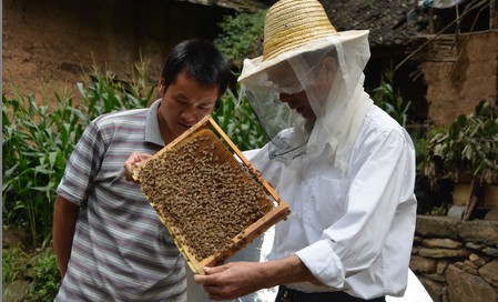 山阳总工会组织养蜂技术专家指导产业发展