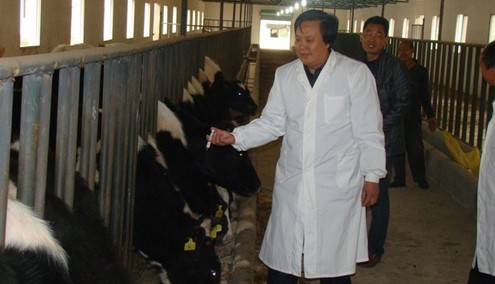 商南：扎根农村的畜牧状元