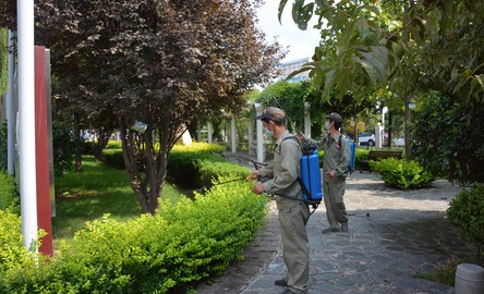 丹凤对全县公共场所进行全面消杀