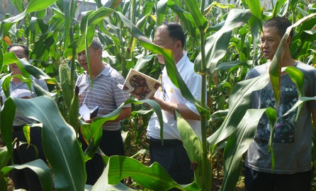 柞水建立农业科技试验示范基地