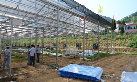 丹凤大力发展现代农业