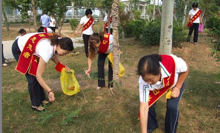 丹凤妇联开展“巾帼扮靓县城迎双节”活动