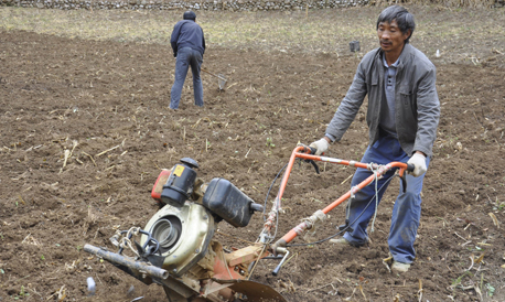 镇安县米粮镇抓紧秋种秋播