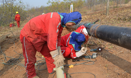 丹凤天然气输送主管道开工建设
