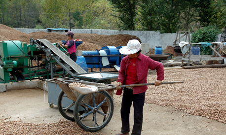 柞水：专业合作社生意好红火