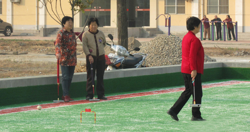 高标准门球场地在丹凤县落成