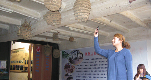陕南胡蜂窝成为招来游客的一道风景