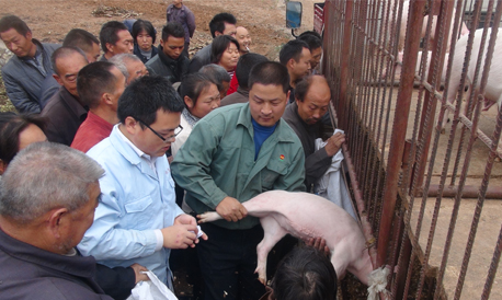 商南为富水镇贫困户提供产业扶持资金