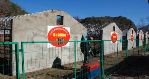 洛南县草木香食用菌合作社年产值400万元