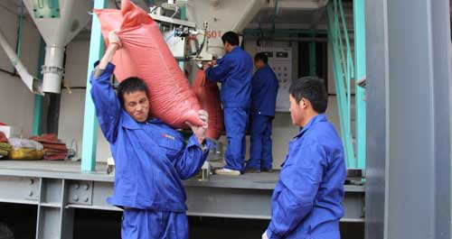 华茂牧业高效饲料厂项目正式投产