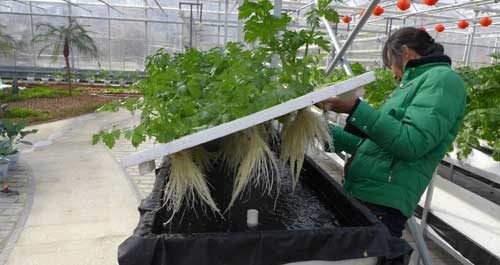 丹凤县生态科技园近日正式投入使用