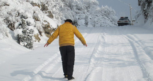 受积雪影响丹凤县往北方峦庄、庾岭和蔡川路段近期封路
