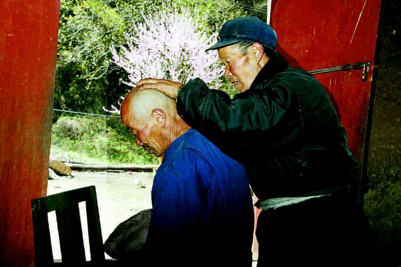 光棍村的生态图