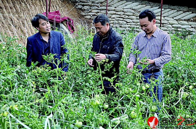母德军进行大棚科管