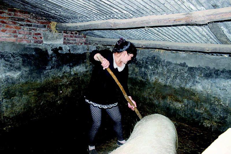 用爱撑起一片天