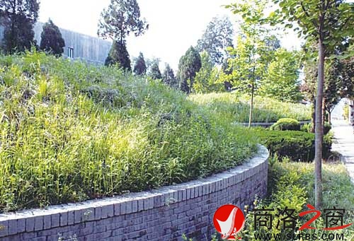 商山四皓墓园一角
