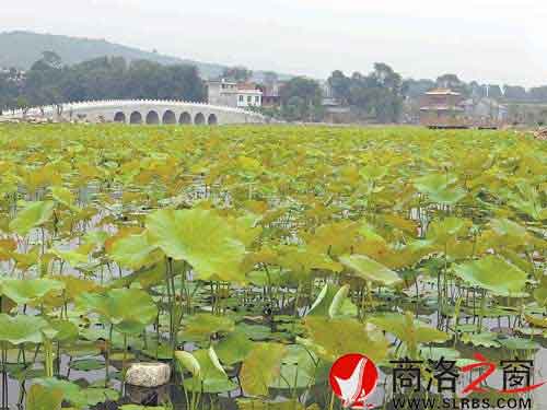 古道明珠——棣花