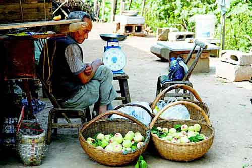 大山里的守护者