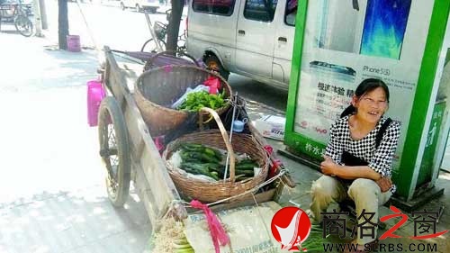 县城最后的菜农