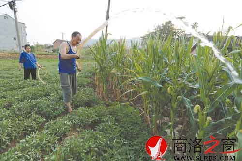 有条件的村民抗旱保秋