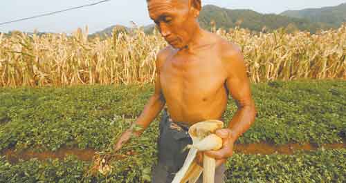 遭受88年不遇旱灾 商南启动三级响应全力抗灾