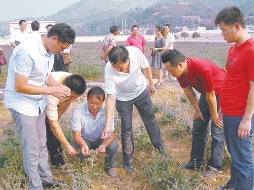 为贫困户量身定制经营项目