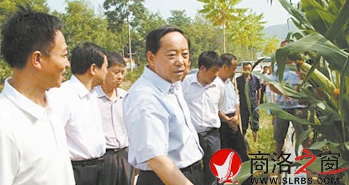 8月3日，市委书记胡润泽深入商州区部分镇办，就抗旱及受灾情况进行调研，并看望慰问抗旱一线干部群众。