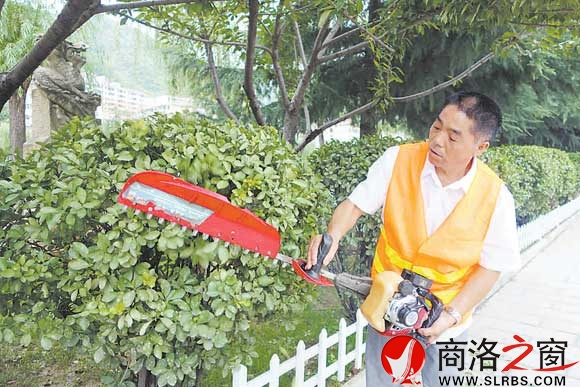 正在修剪绿化带的王曾智