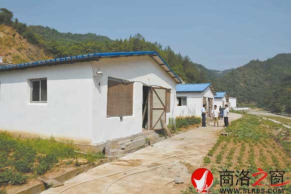 何智贤的标准化养猪场