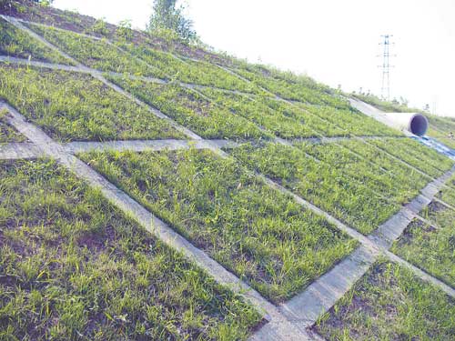 生态河道治理的典范