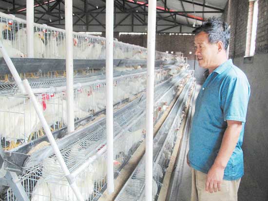 山沟里建起生态养殖园