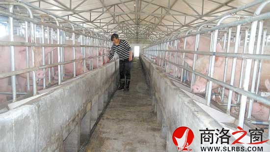 依靠融资发展起来的宏源牧业公司