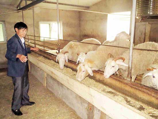 青山镇“一户一法”精准扶贫帮农家