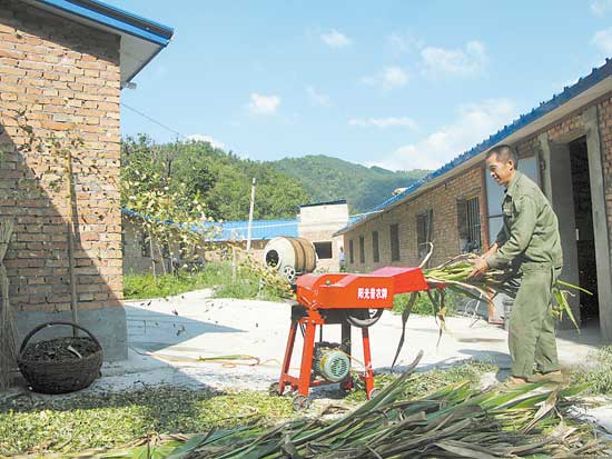 小循环带动绿色大产业