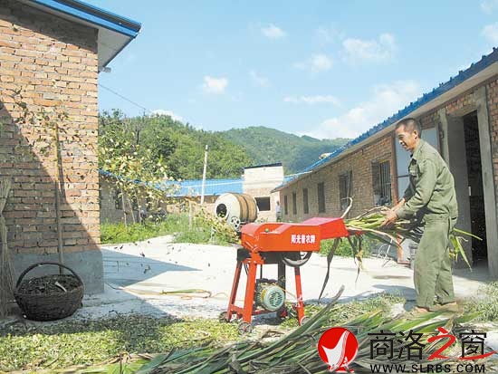 村民卖过玉米棒子后，地里的玉米秸秆又能返回小区当饲料