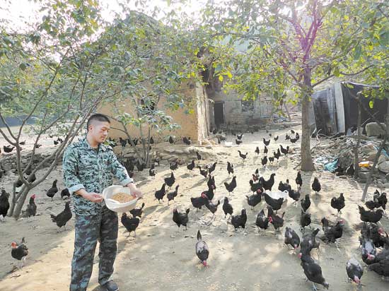山乡“土鸡王”