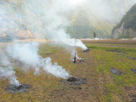 秸秆还田难在哪里
