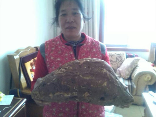 5.5公斤的红薯“巨无霸”