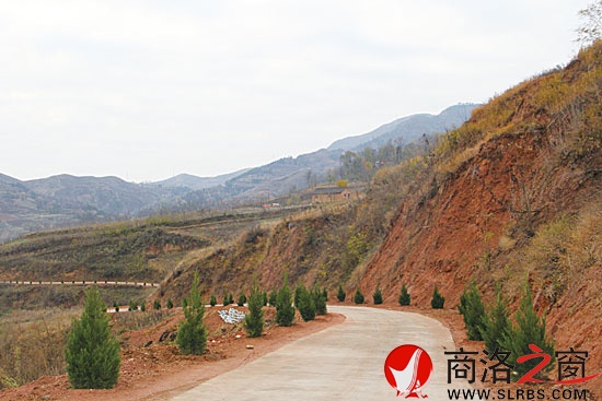 已经完成普修的王山底至会峪公路，两旁栽植了青翠的松柏行道树。