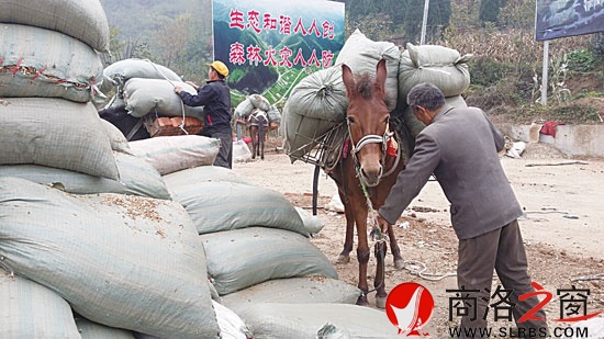 骡子身上装满货物准备上山