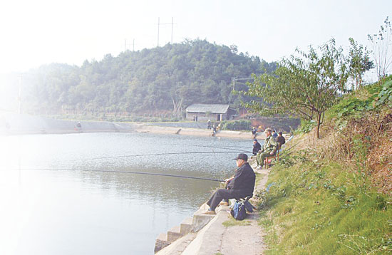 美丽乡村荆家河