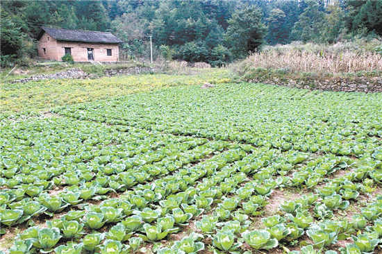 一个高山村的变迁