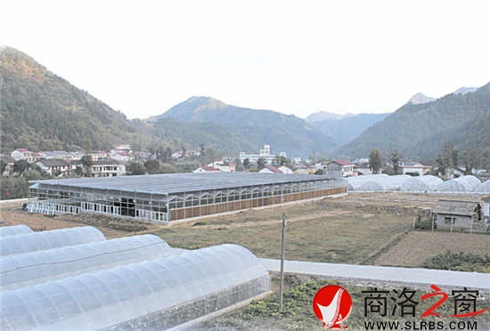 现代农业园区，农民抱团闯市场的基地。