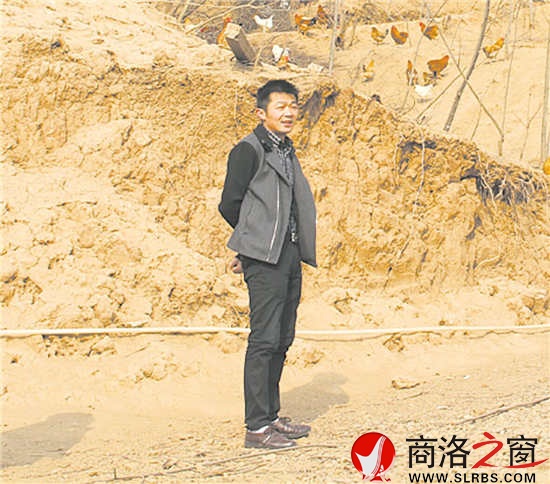 周涛发展的林下养鸡