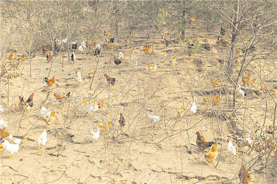 创业再展兵风采