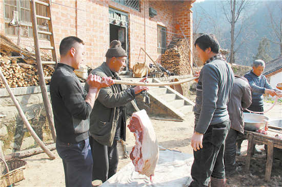农家小院宰年猪
