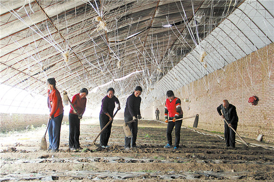 带领乡亲共圆致富梦