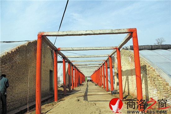 太阳照射下的竹沁园一角